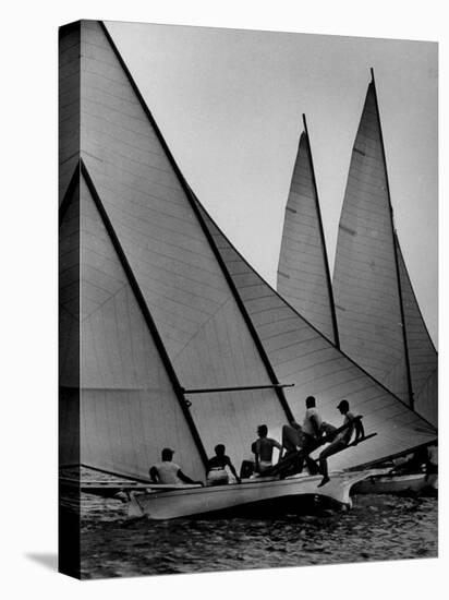 Log Canoe Sailboats Racing on the Chesapeake Bay-null-Premier Image Canvas