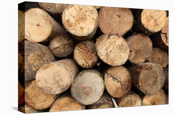 Log Wood Texture Backgrounds-photosoup-Premier Image Canvas