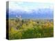 Logan City & Cache Valley at Sunset, Utah, USA-Scott T^ Smith-Premier Image Canvas