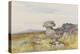 Logan Stone, Rippon Tor , C.1895-96-Frederick John Widgery-Premier Image Canvas