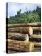 Logging in the Rain Forest, Island of Borneo, Malaysia-Anthony Waltham-Premier Image Canvas
