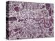 London England Street Map-Michael Tompsett-Stretched Canvas