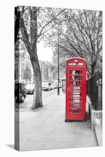 London Red Phone Boxes on Black and White Landscape-David Bostock-Premier Image Canvas