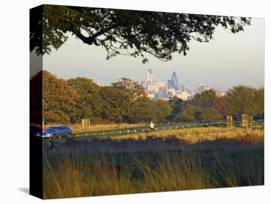 London Skyline from Richmond Park, London, England, United Kingdom-Charles Bowman-Premier Image Canvas