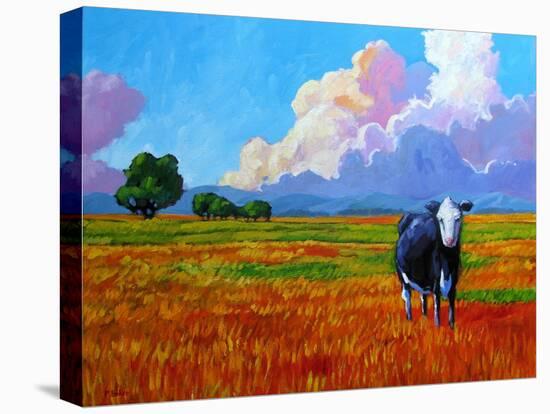 Lone Cow II-Patty Baker-Stretched Canvas