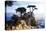 Lone Cypress 2-Alan Hausenflock-Premier Image Canvas