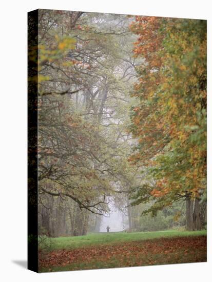 Lone Hiker in Champoeg State Park, Willamette Valley, Oregon, USA-Jaynes Gallery-Premier Image Canvas