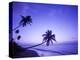 Lone Palm Trees at Sunset, Coconut Grove Beach at Cade's Bay, Nevis, Caribbean-Greg Johnston-Premier Image Canvas