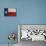 Lone Star-Luke Wilson-Stretched Canvas displayed on a wall