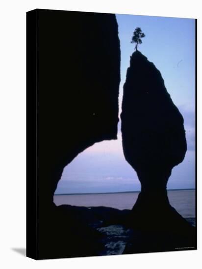 Lone Tree Atop a Tide Sculptured Pillar of Limestone Towering 70 Ft. High, Bay of Fundy-George Silk-Premier Image Canvas