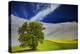 Lone Tree in Rolling Hills of Wheat-Terry Eggers-Premier Image Canvas