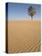 Lone Tree on Dune, Sahara Desert, Merzouga, Morocco, North Africa, Africa-Kim Walker-Premier Image Canvas