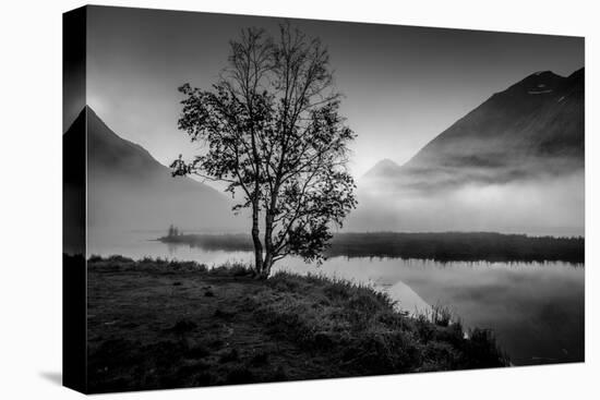 Lone tree with morning fog seen on Tern Lake, Kenai Penninsula, Alaska-null-Premier Image Canvas