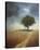 Lone Tree-Bill Philip-Stretched Canvas