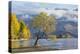 Lone willow tree growing at the edge of Lake Wanaka, autumn, Roys Bay, Wanaka, Queenstown-Lakes dis-Ruth Tomlinson-Premier Image Canvas