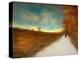 Lonely Autumn Path-Robert Cattan-Premier Image Canvas