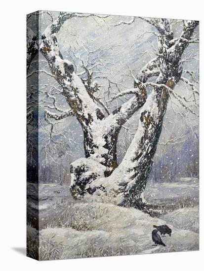 Lonely Oak In Winter Wood-balaikin2009-Stretched Canvas