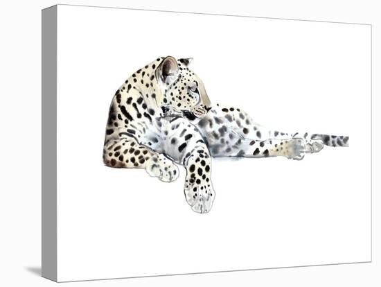 Long (Arabian Leopard), 2015-Mark Adlington-Premier Image Canvas
