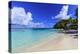Long Bay Beach, beautiful soft white sand, turquoise sea, palm trees, Antigua-Eleanor Scriven-Premier Image Canvas