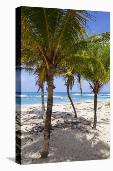 Long Bay, East Coast, Portland Parish, Jamaica, West Indies, Caribbean, Central America-Doug Pearson-Premier Image Canvas