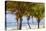 Long Bay, East Coast, Portland Parish, Jamaica, West Indies, Caribbean, Central America-Doug Pearson-Premier Image Canvas