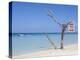 Long Bay, Negril, Westmoreland Parish, Jamaica, Caribbean-Doug Pearson-Premier Image Canvas