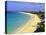 Long Beach, St. Martin, Netherlands Antilles, Caribbean-Michael DeFreitas-Premier Image Canvas