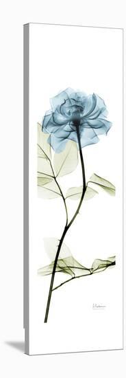Long Blue Rose-Albert Koetsier-Stretched Canvas
