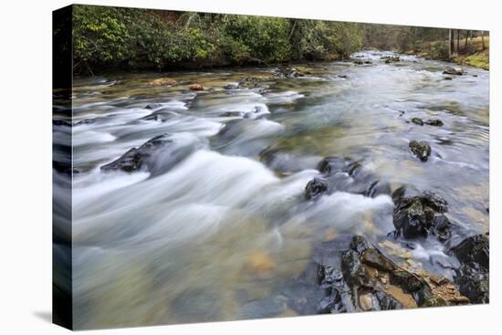 Long Exposure of a Mountain Stream in North Carolina-James White-Premier Image Canvas