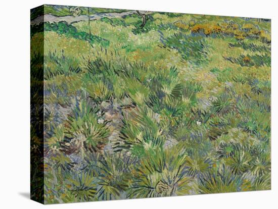 Long Grass with Butterflies, 1890-Vincent van Gogh-Premier Image Canvas