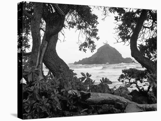 Long Hanna Drive, Maui, Hawaii 00-Monte Nagler-Premier Image Canvas