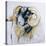 Long Horn Sheep-Lou Gibbs-Premier Image Canvas