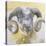 Long Horn Sheep-Lou Gibbs-Premier Image Canvas