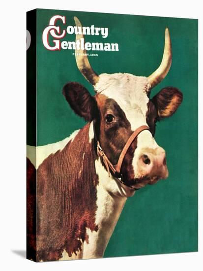 "Long-Horned Cow," Country Gentleman Cover, February 1, 1945-F.P. Sherry-Premier Image Canvas