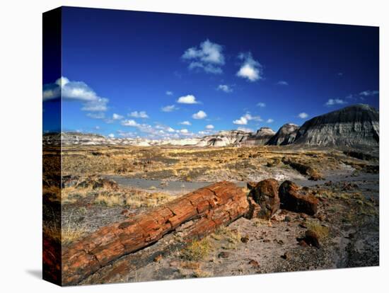 Long Petrified Log at Blue Mesa, Petrified Forest National Park, Arizona, USA-Bernard Friel-Premier Image Canvas