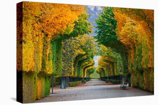 Long Road in Autumn Park-badahos-Premier Image Canvas
