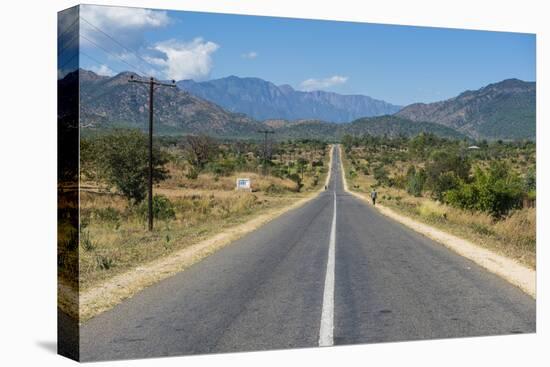 Long Straight Road in Central Malawi, Africa-Michael Runkel-Premier Image Canvas
