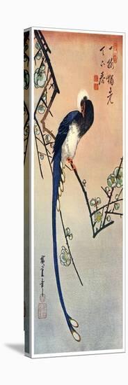 Long Tailed Blue Bird on Branch of Plum Tree in Blossom, 19th Century-Ando Hiroshige-Premier Image Canvas
