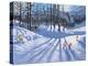 Long tree shadows and skiers, Tignes-Andrew Macara-Premier Image Canvas