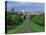 Long Walk from Windsor Castle, Berkshire, England, United Kingdom, Europe-Woolfitt Adam-Premier Image Canvas