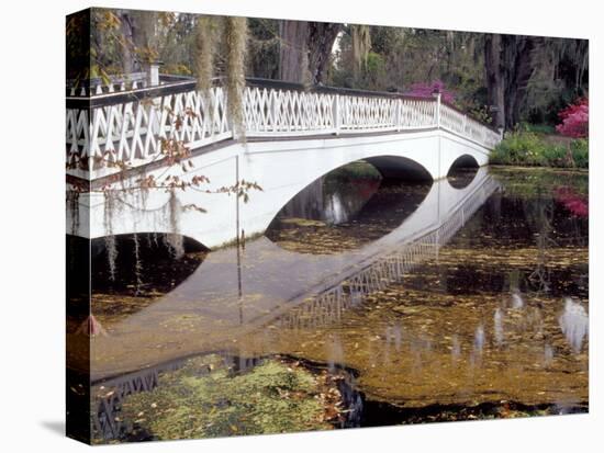 Long White Bridge over Pond, Magnolia Plantation and Gardens, Charleston, South Carolina, USA-Julie Eggers-Premier Image Canvas