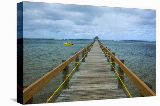 Long Wooden Pier, Coral Coast, Viti Levu, Fiji, South Pacific-Michael Runkel-Premier Image Canvas