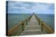 Long Wooden Pier, Coral Coast, Viti Levu, Fiji, South Pacific-Michael Runkel-Premier Image Canvas