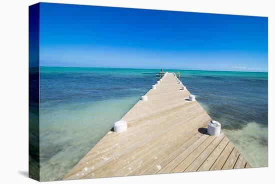 Long wooden pier in the turquoise waters of Providenciales, Turks and Caicos, Caribbean-Michael Runkel-Premier Image Canvas