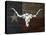 Longhorn Art with Flag-Design Turnpike-Premier Image Canvas