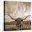 Longhorn-THE Studio-Premier Image Canvas