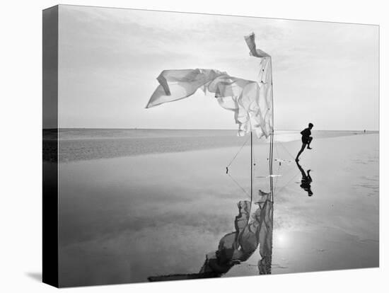 Longing For Wind 8, 2015-Jaschi Klein-Premier Image Canvas