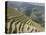 Longsheng Terraced Ricefields, Guilin, Guangxi Province, China-Angelo Cavalli-Premier Image Canvas