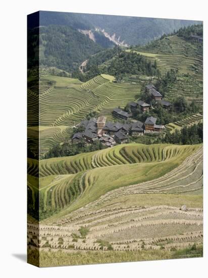 Longsheng Terraced Ricefields, Guilin, Guangxi Province, China-Angelo Cavalli-Premier Image Canvas