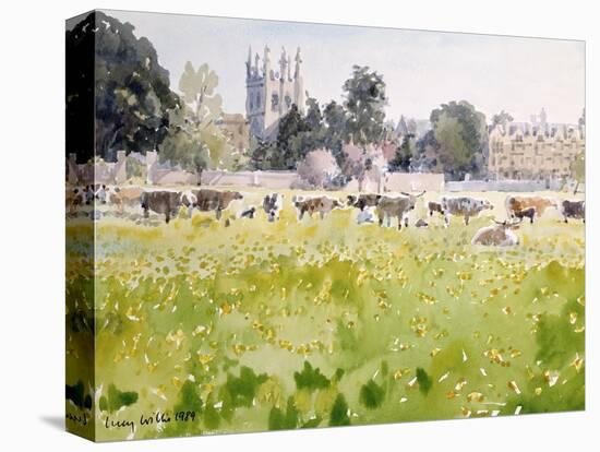 Looking across Christ Church Meadows, 1989-Lucy Willis-Premier Image Canvas